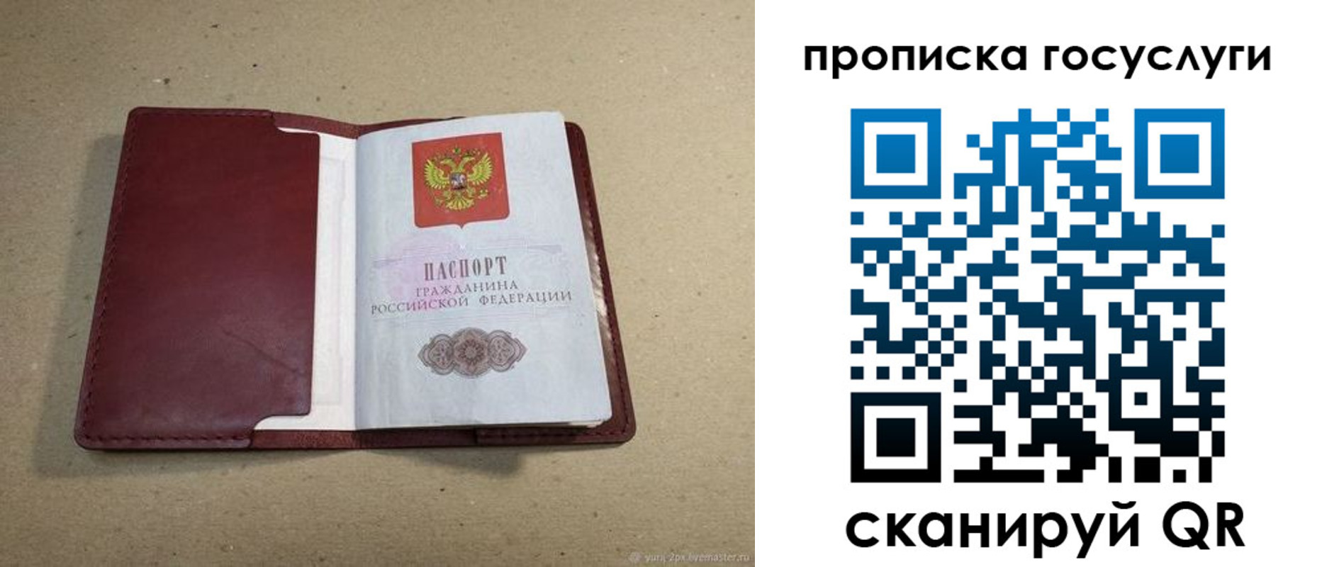 прописка поиск в Пензенской области
